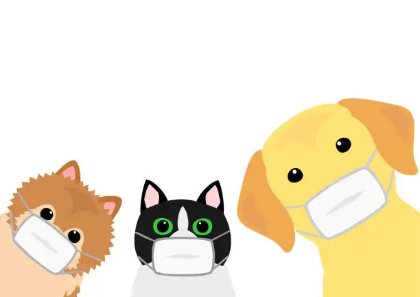 Vector illustration of cat and dogs with medical mask