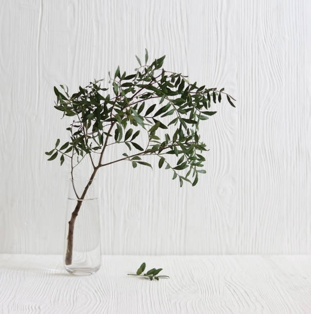 istock Pistachio branches in simple glass vase on empty  white wooden background 1218884554