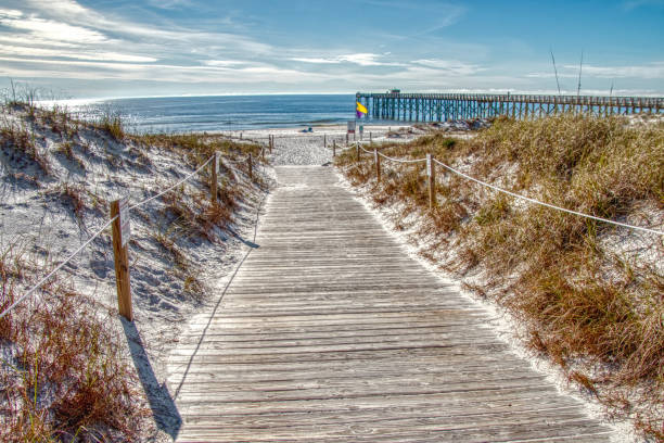 istock St. Andrews State Park during the Winter Off-Season 1218885521