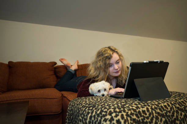 istock Taking online college class beside dog 1218887223