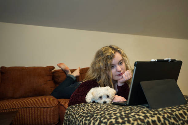 istock College online class besdie dog 1218887230
