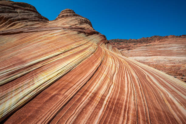 Arizona Wave - Famous Geology rock formation in Pariah Canyon, USA Landscape view of Arizona Wave - Famous Geology rock formation in Pariah Canyon, Usa coyote buttes stock pictures, royalty-free photos & images