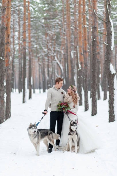Cheerful couple are playing with siberian husky in snowy forest. Winter wedding. stock photo