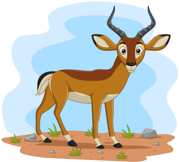 illustrazioni stock, clip art, cartoni animati e icone di tendenza di impala dei cartoni animati sul campo - impala