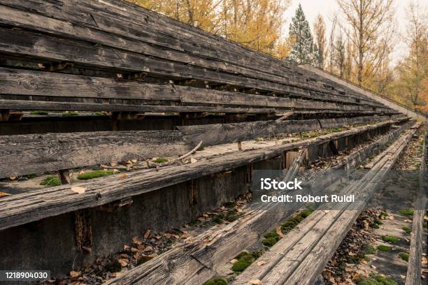 Detail Of Broken Wooden Seat Benches On Grandstand Of Abandoned Sports Arena In Pripyat Chernobyl Exclusion Zone In Autumn Stock Photo - Download Image Now