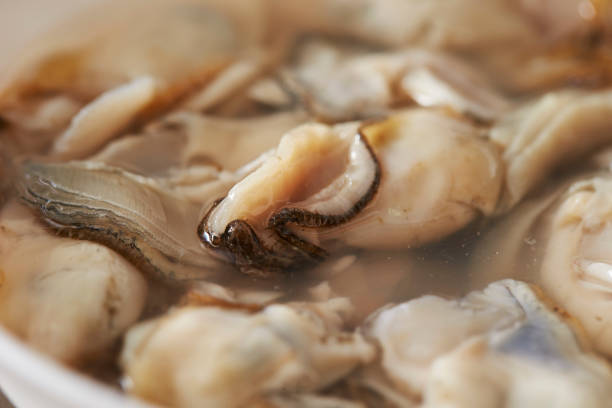 殻入りカキ - prepared oysters prepared shellfish shucked seafood ストックフォトと画像