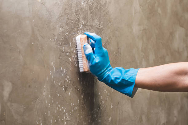 istock Cleaning on the concrete wall. 1218905462
