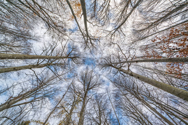 istock Omberg ecopark and nature reserve 1218905672