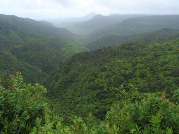 istock Beautiful panorama view at Mauritius national park 1218906039