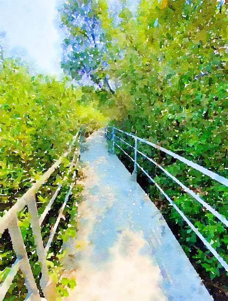 istock watercolor of walkway in forest 1218906127