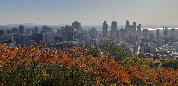 istock Montreal in autumn 1218907693