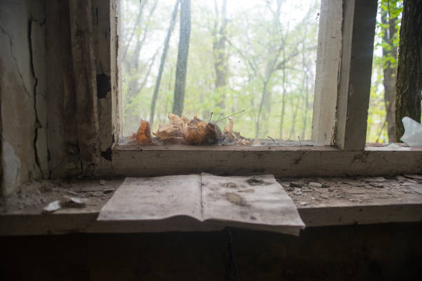 istock Pripyat and Chernobyl exclusion zone in Ukraine 1218909900
