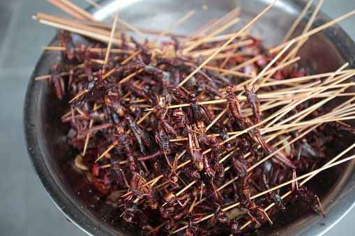 Fired Insects Street Food on sticks in Sichuan, China