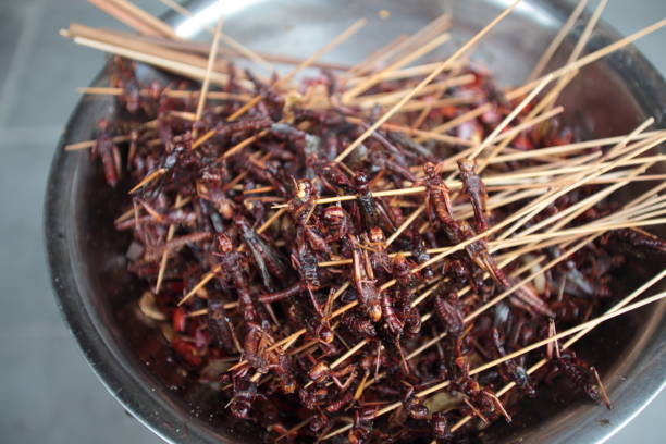 Deep Fired Insects Street Food in Sichuan, China Fired Insects Street Food on sticks in Sichuan, China earthworm photos stock pictures, royalty-free photos & images