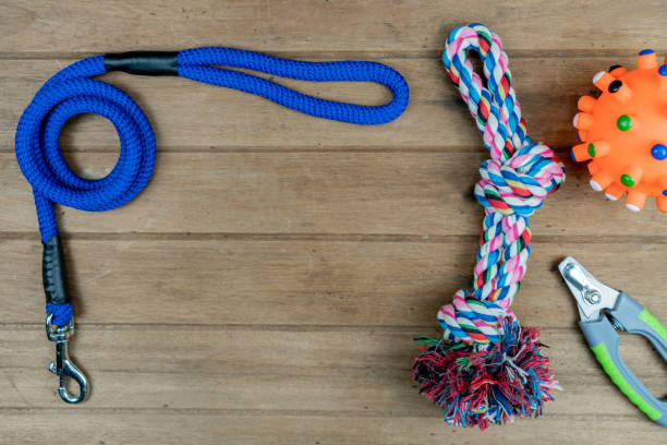 istock Pet leashes on wooden background.  Pet accessories concept 1218909994
