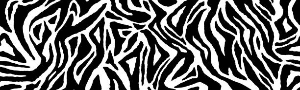istock Zebra fur repeating texture. Animal skin stripes, jungle wallpapers. Black and white seamless pattern. Vector 1218910014