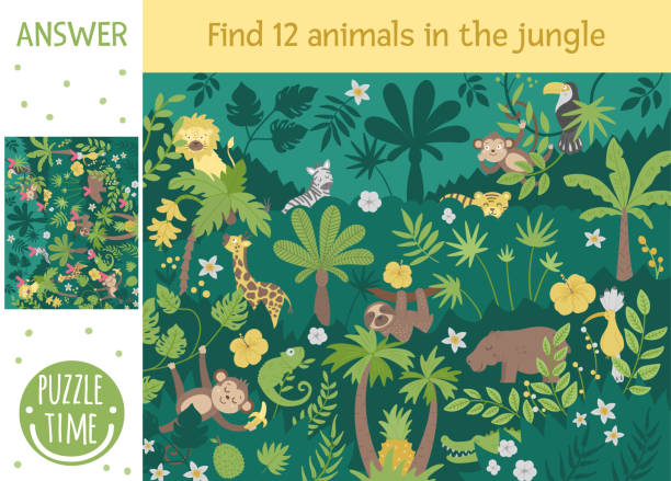 Tropical Searching Game For Children With Cute Funny Characters Find Hidden  Animals And Birds In The Jungle Simple Summer Game Stock Illustration -  Download Image Now - iStock