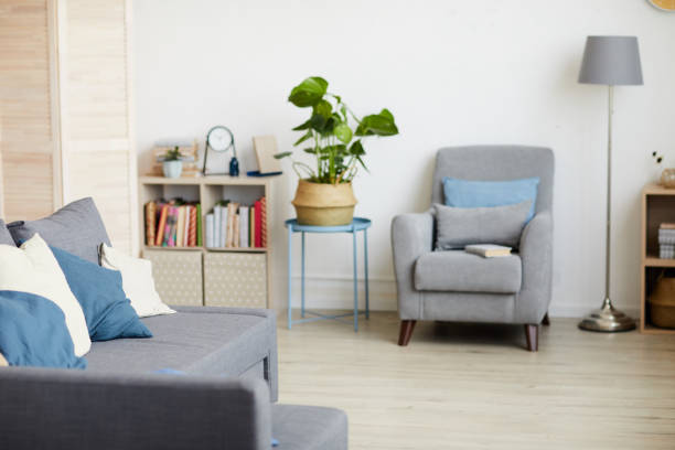istock Domestic living room 1218911961