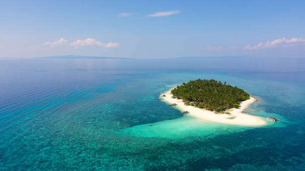 istock Palm trees and turquoise water on a tropical island, top view 1218914333