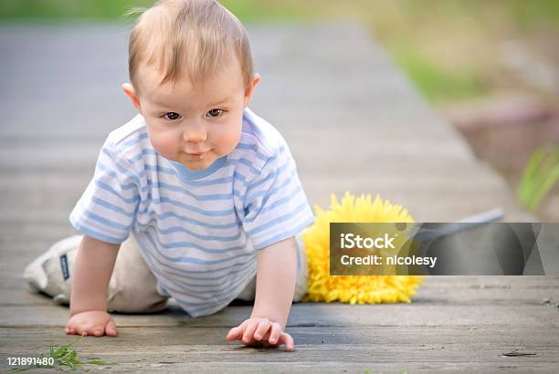 Baby Мальчик Ползать За — стоковые фотографии и другие картинки Весёлый - Весёлый, Горизонтальный, Движение