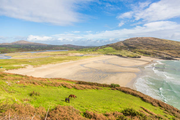 Panoramic picture of Barley Cove Beach in southern west Ireland during daytime Panoramic picture of Barley Cove Beach in southern west Ireland mizen head stock pictures, royalty-free photos & images