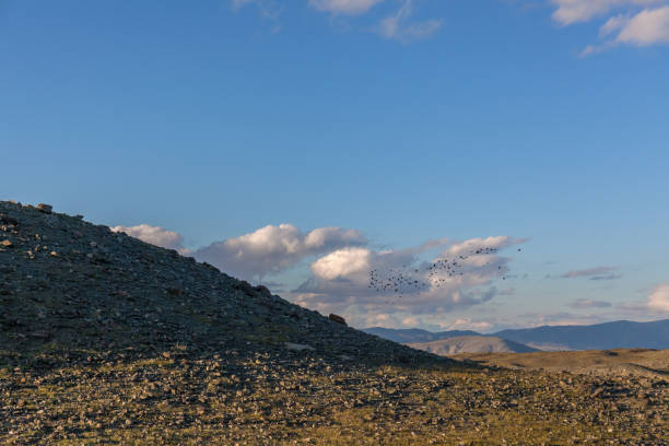istock Typical view of Mongolian landscape. Mongolian Altai, Mongolia 1218918478