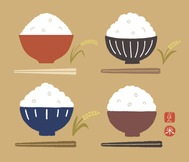 밥과 젓가락2 - rice cereal plant white rice white stock illustrations