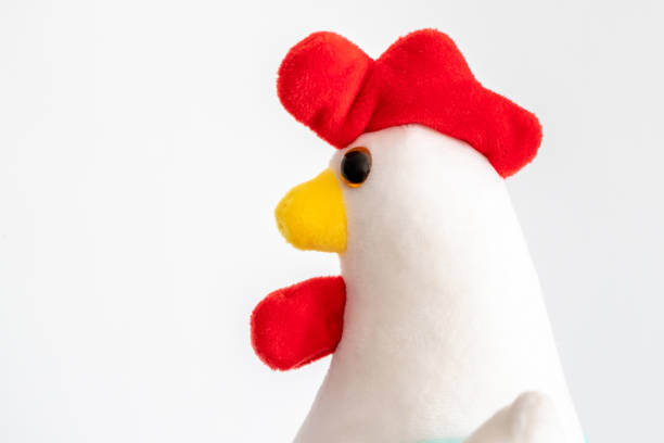toy chicken。stuffed chick on white background - artificial wing fotos imagens e fotografias de stock