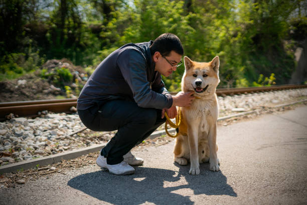 istock Kneeling tall man is cuddling orange akita dog 1218921192