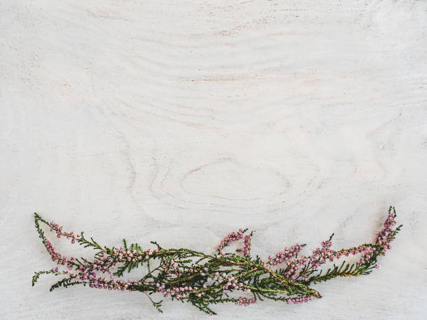 istock Beautiful wildflowers lying on a wooden table 1218923480