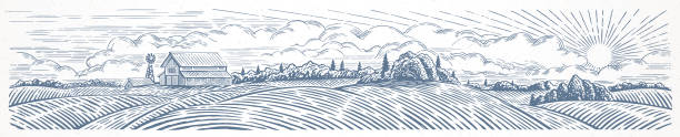 Rural hilly landscape with farm, in graphical style Rural landscape panoramic format with a farm. Hand drawn Illustration in engraving style. farm drawings stock illustrations