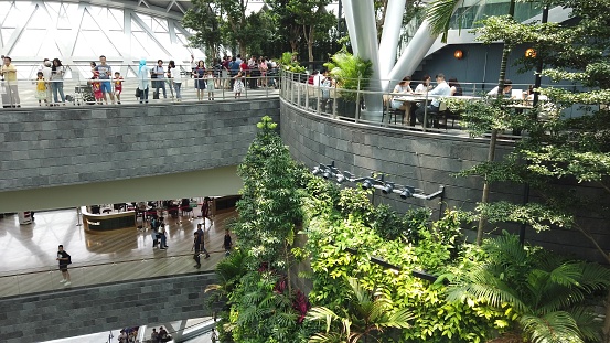 Singapore - Aug 8, 2019: aerial view of Rain Vortex, the world's largest indoor waterfall and Hedge Maze garden terraced in Jewel Airport link to terminal Changi International Airport.