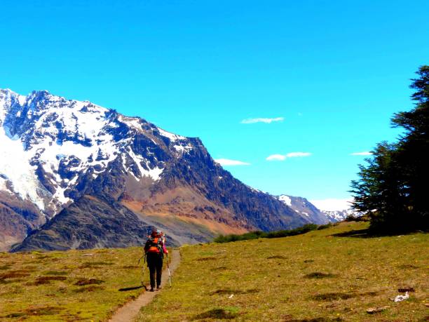istock Girl doing trail in flowery fields among snowy mountains 1218929932