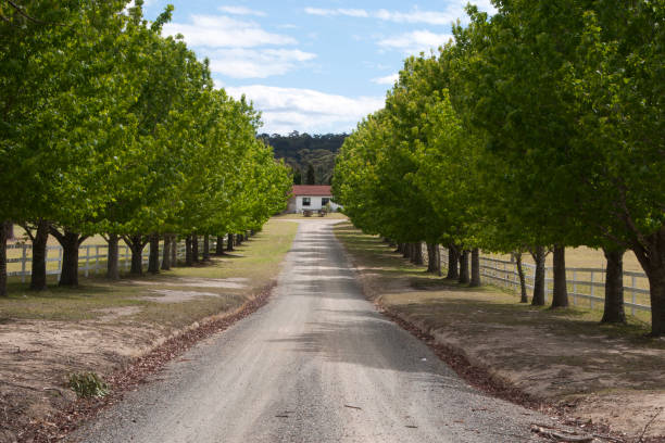 Scene from around Mogo, Australia