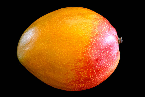 Side view of fresh ripe mango fruit isolated on black background