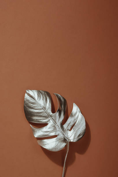 istock Shiny silver leaf monstera on terracotta background. Trendy design. Pastel Minimalism. Copy space 1218932050
