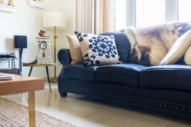 Close up of the living room sofa