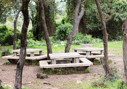 Concrete benches and picnic tables in the forest