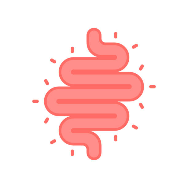 Gut constipation icon in flat style. Colitis vector illustration on white isolated background. Stomach business concept. Gut constipation icon in flat style. Colitis vector illustration on white isolated background. Stomach business concept. intestine illustrations stock illustrations
