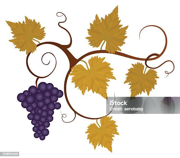 Осенний Виноград Лоза — стоковая векторная графика и другие изображения на тему Без людей - Без людей, Векторная графика, Ветвь - часть растения