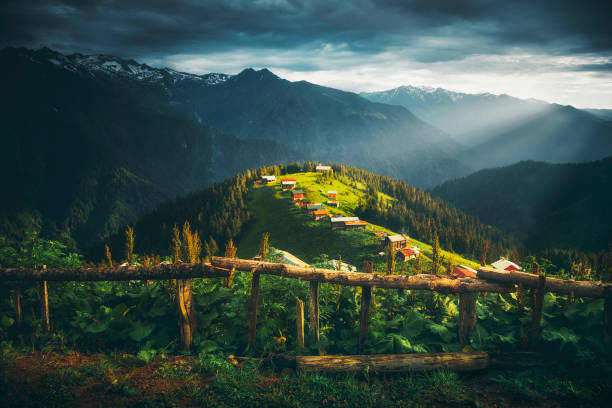 Landscape view of Pokut Plateau, Camlıhemsin, Rize, Turkey Beautful nature landscape view against wooden fences at Pokut Highland in Çamlıhemşin, Rize in Blacksea region of Turkey on sunny summer morning plateau concept stock pictures, royalty-free photos & images
