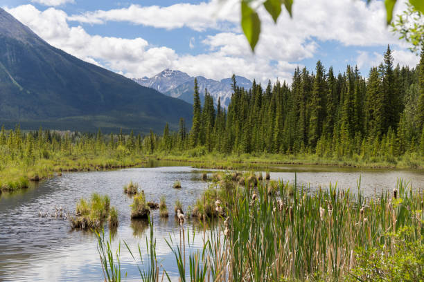 istock beautiful day on the lake 1218948846