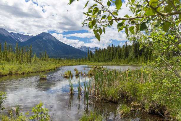istock beautiful day on the lake 1218948950