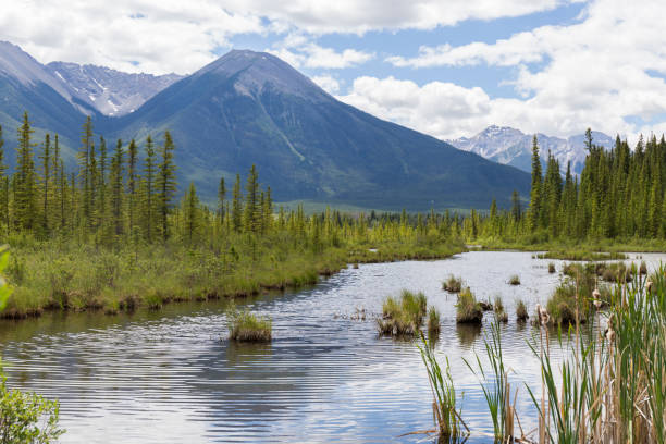 istock beautiful day on the lake 1218949075