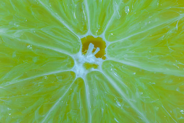istock Fresh lemon closeup, top view, concept photo. 1218949850