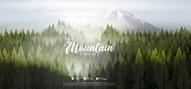 сосновый лес горы в тумане - layered mountain tree pine stock illustrations