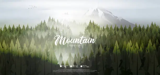 Vector illustration of Pine forest mountains in mist