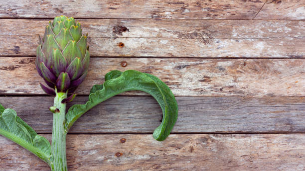 carciofi su sfondo rustico in legno con spazio per il testo. verdure fresche per una vita sana e una dieta. pianta di carciofo. primo tempo di carciofi. - purple artichoke foto e immagini stock