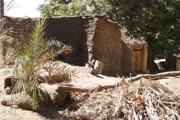 istock Nubian village in Aswan, Egypt 1218955051