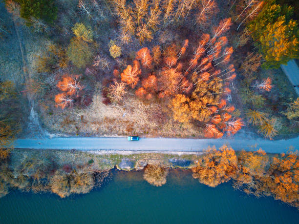 istock Car on a road, recreation zone top aerial view 1218955236